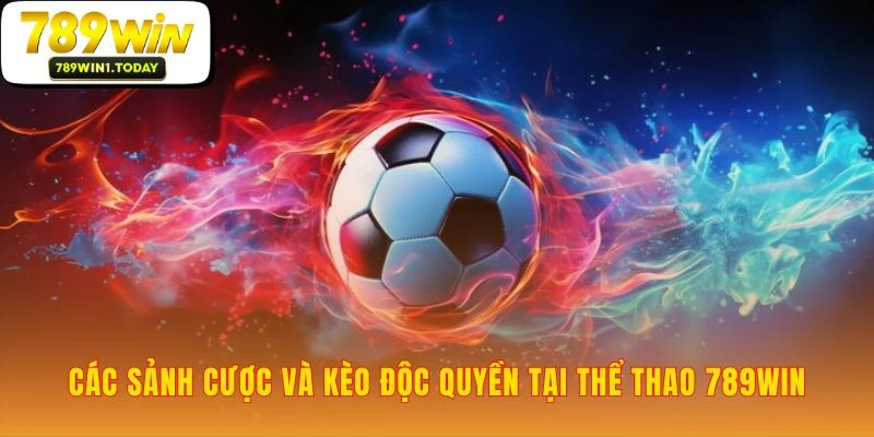 Sân chơi đa dạng của thể thao 789WIN đang chờ bạn