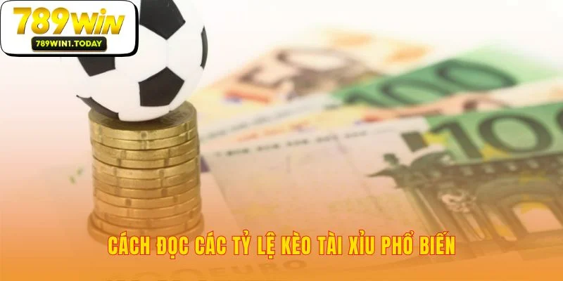 Giải mã ngôn ngữ ẩn sau những con số cược