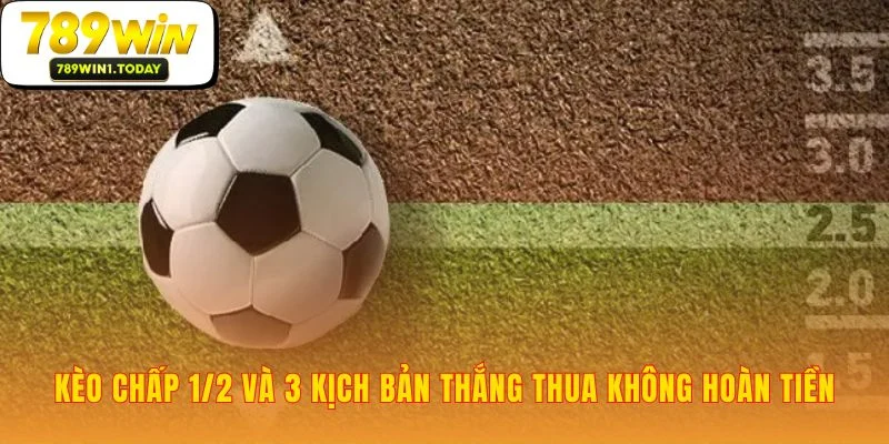 Một kèo cược không có chỗ cho sự do dự